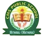 CMS Public School